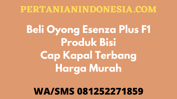 Beli Oyong Esenza Plus F1 Produk Bisi Cap Kapal Terbang Harga Murah